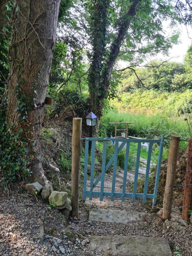 Brookvale Bed and Breakfast Wellingtonbridge Εξωτερικό φωτογραφία