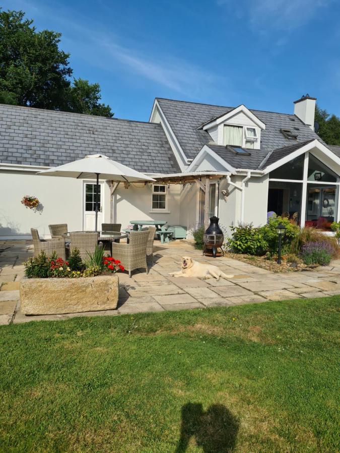Brookvale Bed and Breakfast Wellingtonbridge Εξωτερικό φωτογραφία