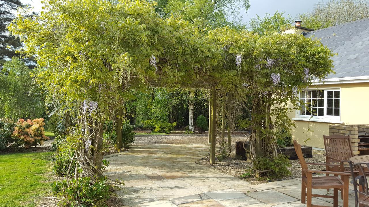 Brookvale Bed and Breakfast Wellingtonbridge Εξωτερικό φωτογραφία