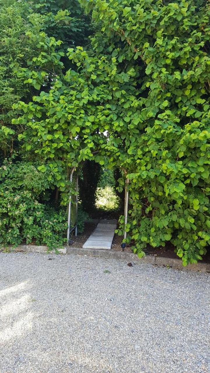Brookvale Bed and Breakfast Wellingtonbridge Εξωτερικό φωτογραφία